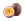 MARAKUJA ŽELÉ